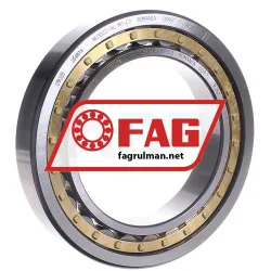 FAG NU1022-XL-M1-C3