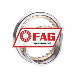 FAG NU1020-XL-M1 rulman resim 2