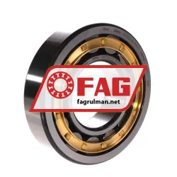FAG NU313-E-XL-M1-C3