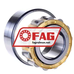 FAG N2313-E-XL-M1 rulman resim 2