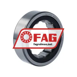 FAG RNU2208-E-XL-TVP2