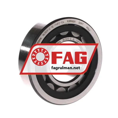FAG NU309-E-XL-TVP2-C4