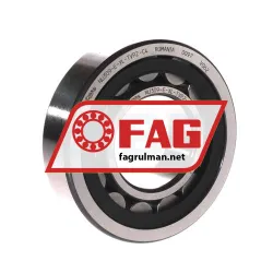 FAG NU309-E-XL-TVP2-C4