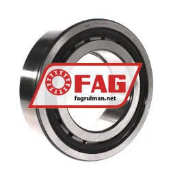 FAG NUP2224-E-TVP2-C3