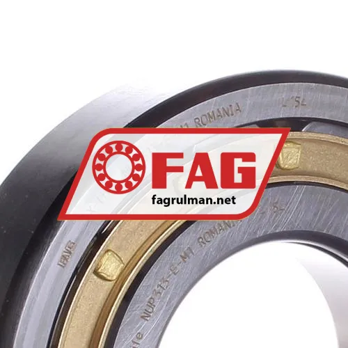 FAG NUP313-E-M1 ürün fotoğrafı 2
