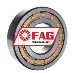 FAG NUP313-E-M1