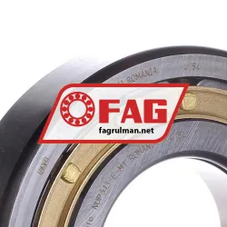 FAG NUP313-E-M1 rulman resim 2