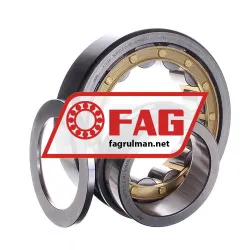 FAG NUP313-E-M1 rulman resim 3