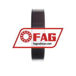 FAG NUP313-E-M1 rulman resim 4