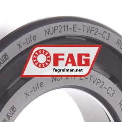 FAG NUP211-E-TVP2-C3 rulman resim 2