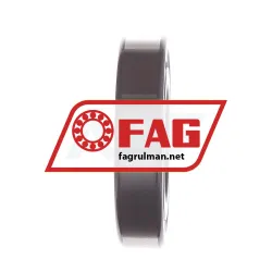 FAG NUP211-E-TVP2-C3 rulman resim 4