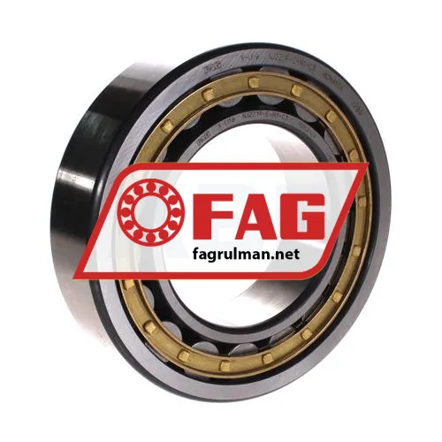 FAG NJ2219-E-M1