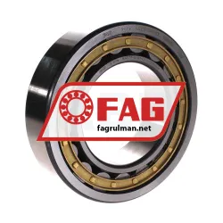 FAG NJ2219-E-M1