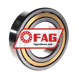 FAG NJ2219-E-M1 rulman resim 2