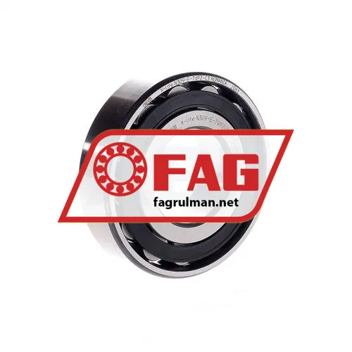 FAG N309-E-TVP2-C3