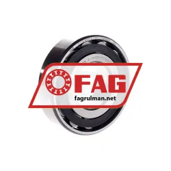 FAG N309-E-TVP2-C3