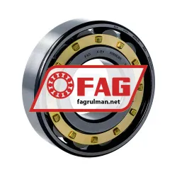 FAG N308E-M1