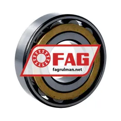 FAG N308E-M1 rulman resim 2