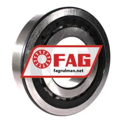 FAG NJ322-E-TVP2-C3 rulman resim 2