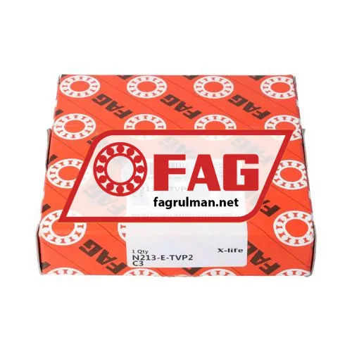 FAG N213-E-TVP2-C3