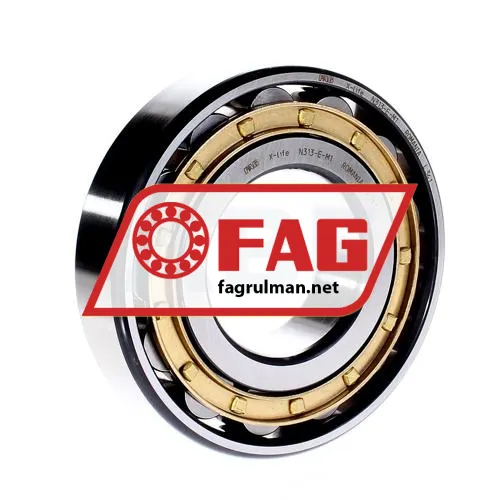 FAG N313