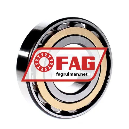 FAG N313 ürün fotoğrafı 2