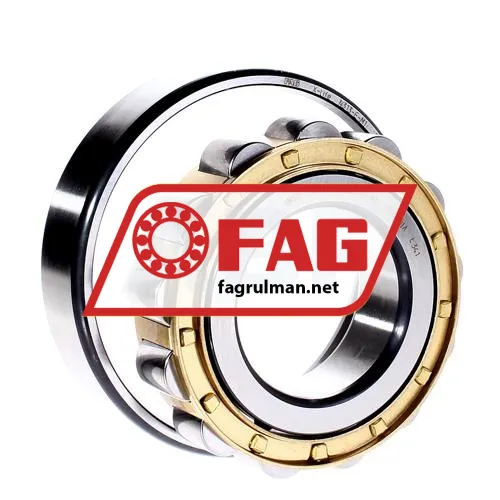 FAG N313 ürün fotoğrafı 3