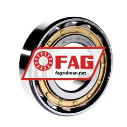 FAG N313