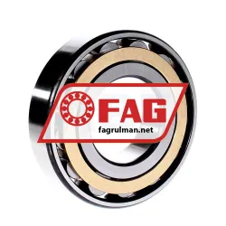 FAG N313 rulman resim 2