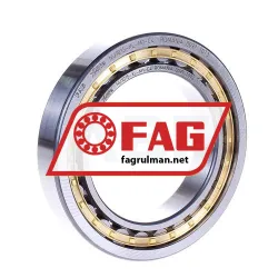FAG NU1015-XL-M1-C4
