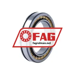 FAG NU1013-XL-N-M1A-C3