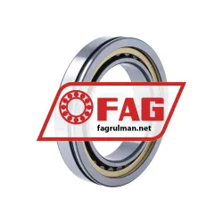 FAG NU1013-XL-N-M1A-C3 rulman resim 2