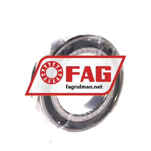 FAG N1011-D-TVP-SP-XL
