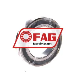 FAG N1011-D-TVP-SP-XL