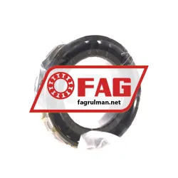 FAG N1011-D-TVP-SP-XL rulman resim 2