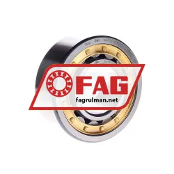 FAG NJ2311-E-XL-M1A-C4