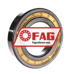 FAG NUP219-E-XL-M1A-C4