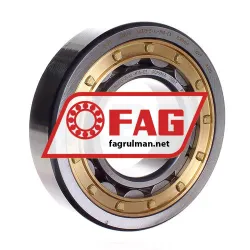 FAG NU313-E-XL-M1A-C3