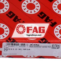 FAG NU313-E-XL-M1A-C3 rulman resim 6