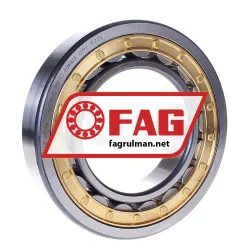 FAG NU220-E-XL-M1A-C3