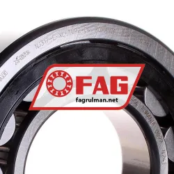 FAG NJ317-E-XL-TVP2-C4 rulman resim 2