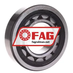 FAG NJ313-E-XL-TVP2-C4