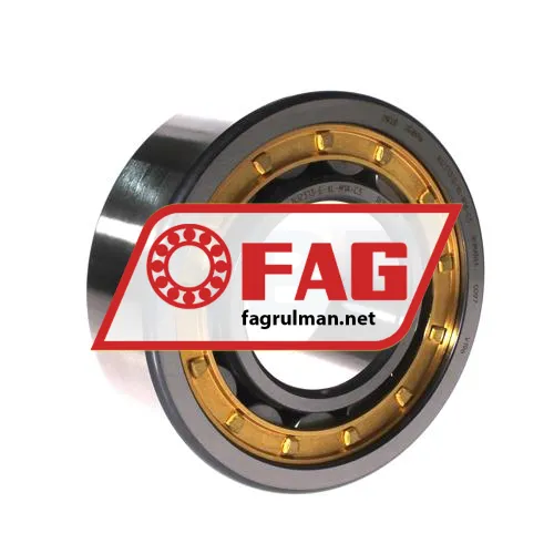 FAG NJ2313-E-XL-M1A-C3