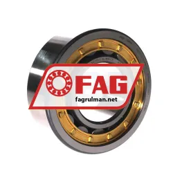 FAG NJ2313-E-XL-M1A-C3