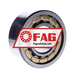 FAG NJ2310-E-XL-M1