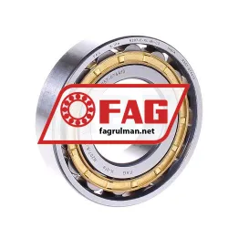 FAG N207-E-XL-M1-C3