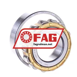 FAG N207-E-XL-M1-C3 rulman resim 2
