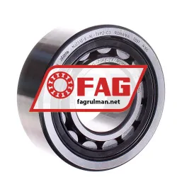 FAG NJ2310-E-XL-TVP2
