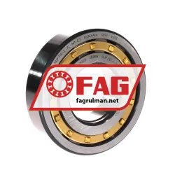 FAG NUP310-E-XL-M1-C3