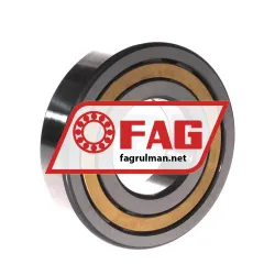 FAG NUP310-E-XL-M1-C3 rulman resim 2